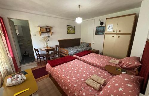 Stara Planina Apartment | Apartman i sobe Zdravac