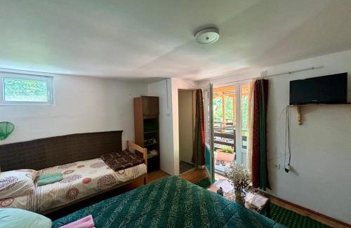 Stara Planina Apartment | Apartman i sobe Zdravac