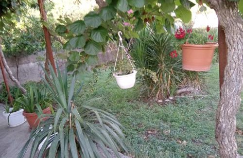 Trebinje Apartment | Apartman Ipak Se Okrece