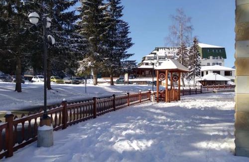 Zlatibor Apartment | Apartman Iva