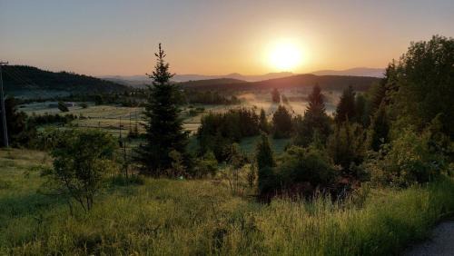Zlatibor Apartment | Apartman JELA Jabuka
