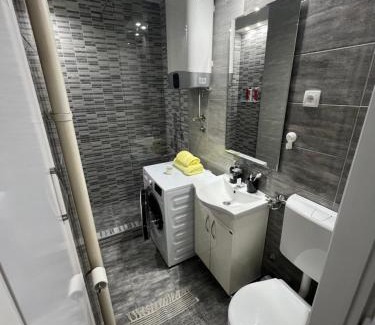 Central Serbia Apartment | Apartman Jevtic
