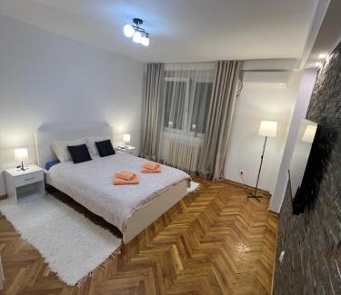 Central Serbia Apartment | Apartman Jevtic