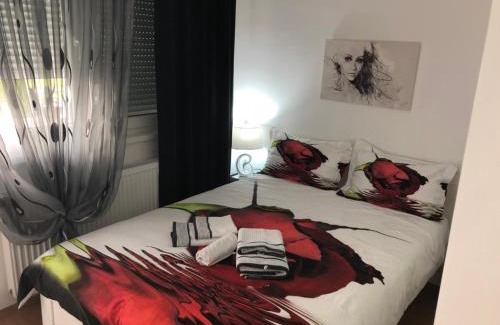 Banja Koviljaca Apartment | Apartman Jezdić