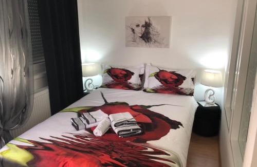 Banja Koviljaca Apartment | Apartman Jezdić