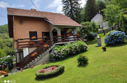 Mladenovac Apartment | Apartman Jovanovic-Rudnik