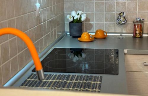 Bistrica Apartment | Apartman K42