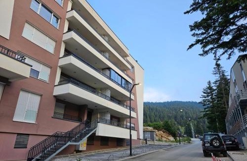Bjelasnica Apartment | Apartman Kadic Bjelasnica - Free Private Garage Parking