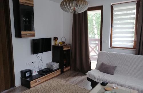 Kopaonik Apartment | Apartman Košuta, Kopaonik