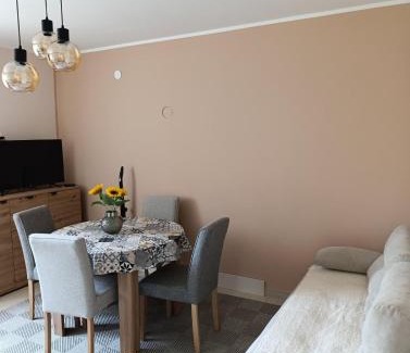 Central Serbia Apartment | Apartman Kokan