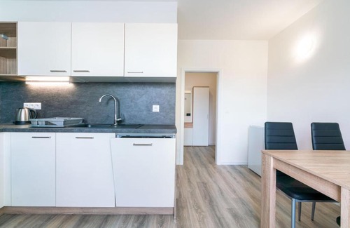 Trencin Apartment | Apartmán Largo