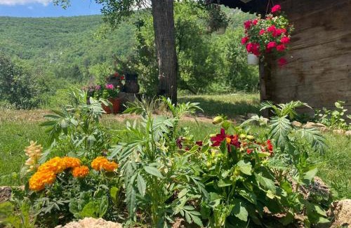 Zlatibor Apartment | apartman Mara