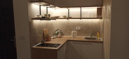 Surcin Apartment | Apartman Mihailo