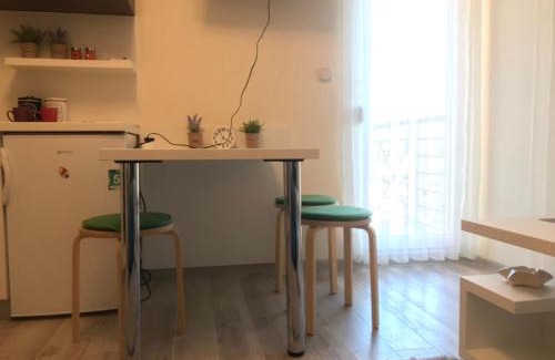 Vrnjacka Banja Apartment | Apartman Mila
