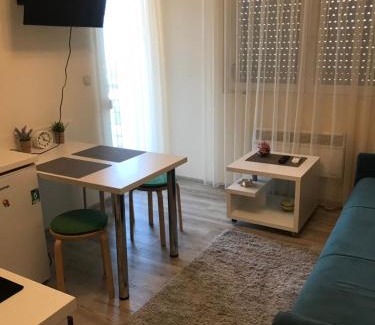 Vrnjacka Banja Apartment | Apartman Mila