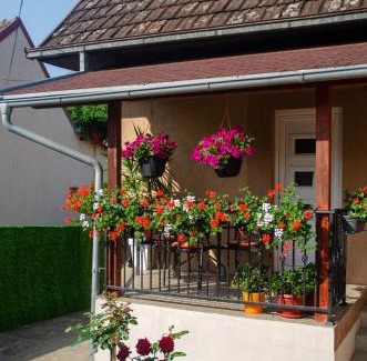 Vrdnik Apartment | Apartman Mina 1