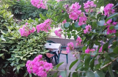Jagodina Apartment | Apartman Nana Jagodina