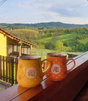 Sumadija Apartment | Apartman Nana