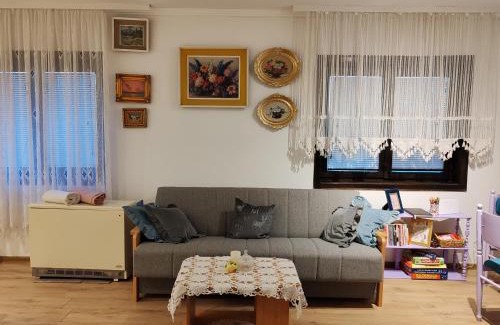 Sumadija Apartment | Apartman Nana