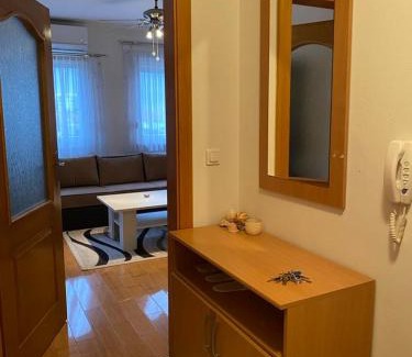 Mali Radic Apartment | Apartman Nasic