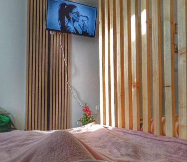 Kopaonik Apartment | Apartman Nesic kop
