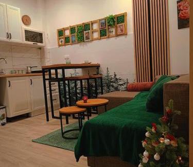 Kopaonik Apartment | Apartman Nesic kop