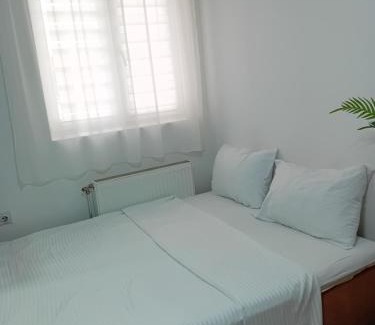 Jagodina Apartment | Apartman, Nina ,