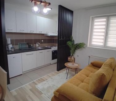 Jagodina Apartment | Apartman, Nina ,