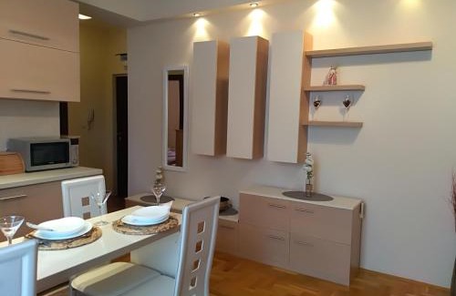 Vozdovac Apartment | Apartman Nina Vojvode Stepe Vozdovac