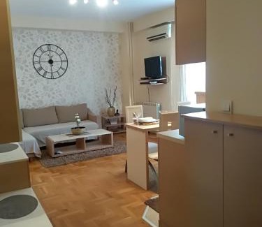 Vozdovac Apartment | Apartman Nina Vojvode Stepe Vozdovac