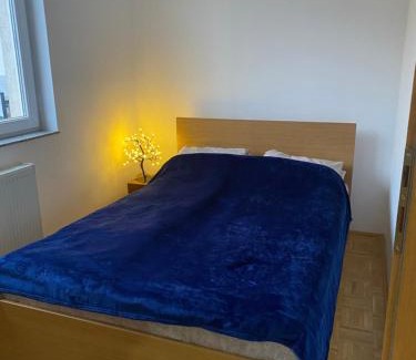 Pale Apartment | Apartman Nova Pale
