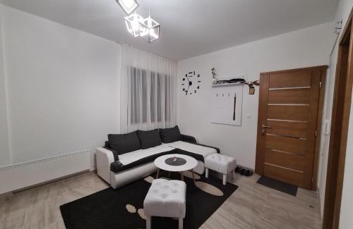 Zlatibor Apartment | Apartman Ogi