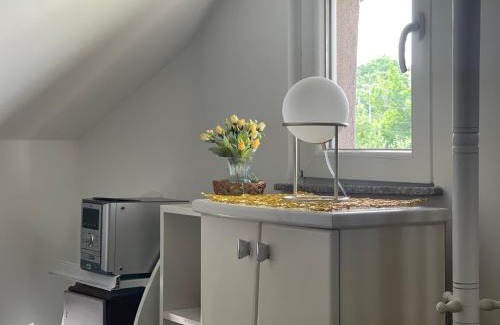 Krusevac Apartment | APARTMAN Pahuljica