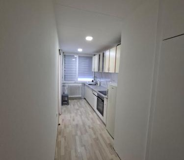 Nis Apartment | Apartman Pešić