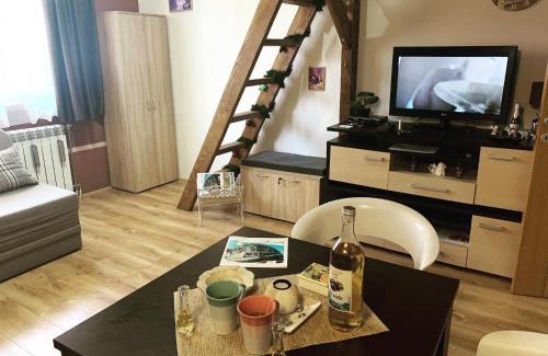 Kopaonik Apartment | Apartman Planinski raj