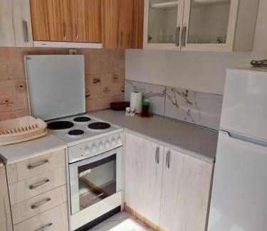 Bajina Basta Apartment | Apartman Ploče