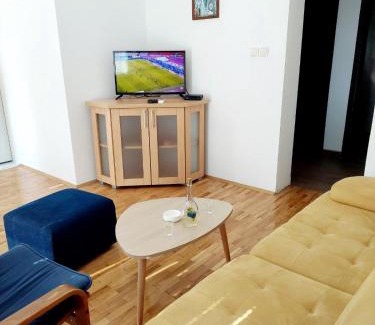 Bajina Basta Apartment | Apartman Ploče