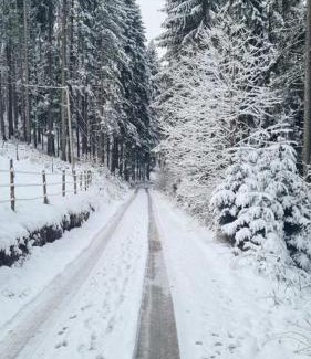 Zlatibor Apartment | Apartman Popadić