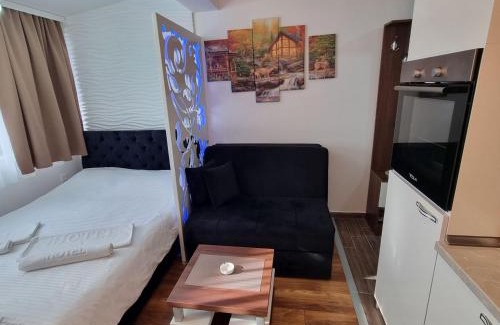 Lisina Apartment | Apartman President Kop