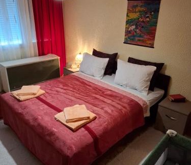 Pirot Apartment | Apartman Purić