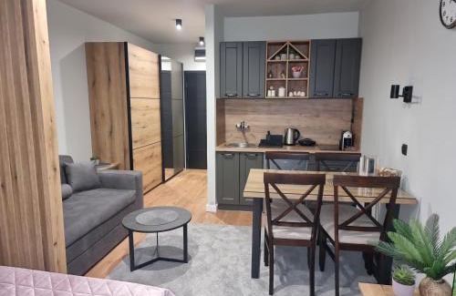 Kopaonik Apartment | Apartman "PUZZLE" Bela Reka, Brzeće