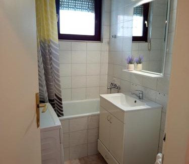 Bistrica Apartment | Apartman Radonjic