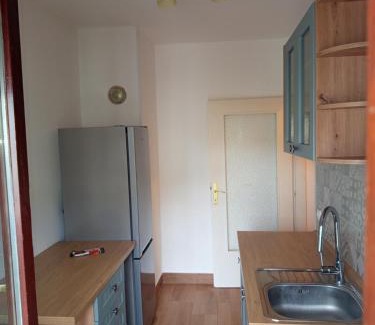 Bistrica Apartment | Apartman Radonjic