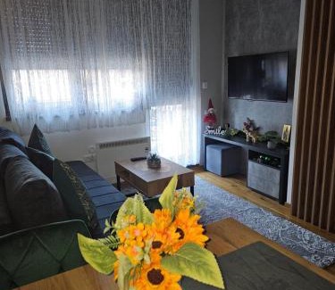 Zlatibor Apartment | Apartman Rajska dolina Titova vila