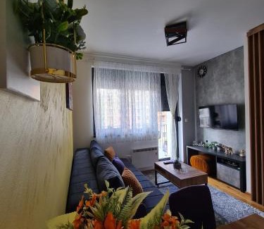Zlatibor Apartment | Apartman Rajska dolina Titova vila