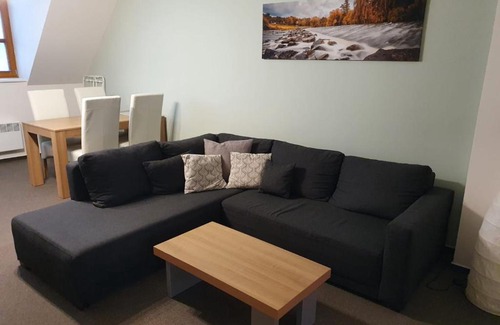 Ricky v Orlickych horach Apartment | Apartmán Říčky