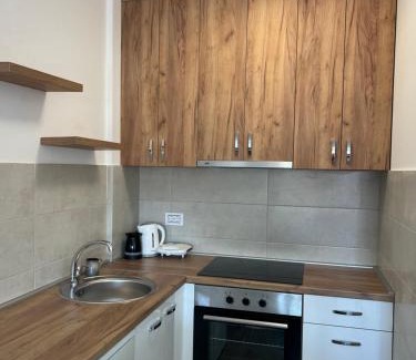 Banja Koviljaca Apartment | Apartman “Sana”
