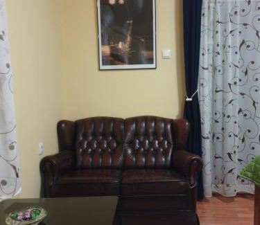 Banja Koviljaca Apartment | Apartman Sasa