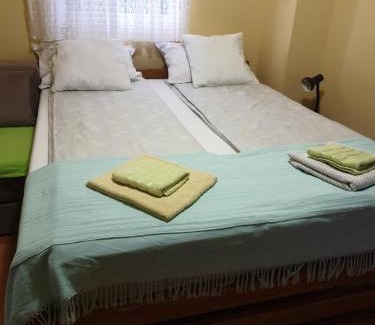Banja Koviljaca Apartment | Apartman Sasa