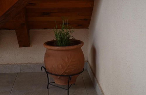 Zlatibor Apartment | Apartman Silver